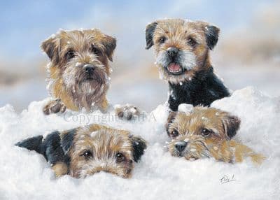 'Four Adrift' Blank Border Terrier Greetings card by Paul Doyle C730