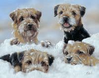 'Four Adrift' Open Edition Border Terrier Print by Paul Doyle