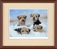 'Four Adrift' Open Edition Border Terrier Print by Paul Doyle