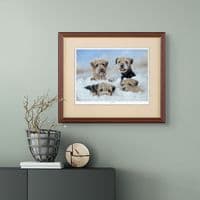 'Four Adrift' Open Edition Border Terrier Print by Paul Doyle