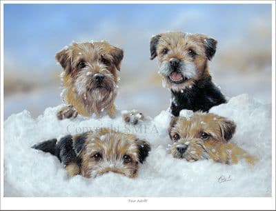 'Four Adrift' Open Edition Border Terrier Print by Paul Doyle