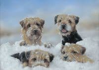 'Four Adrift' Original Border Terrier Painting by Paul Doyle
