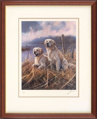 'Golden Moments' Ex-Display Framed Golden Retriever Print by John Trickett