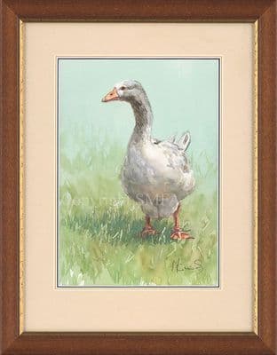 'Goosey Goosey' Original Watercolour Painting by Malcolm Coward