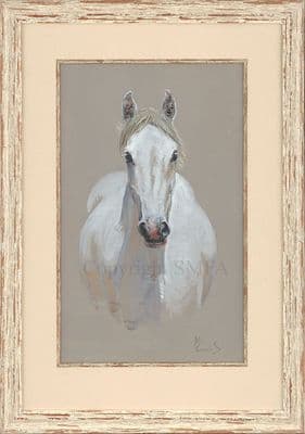 'Grey Horse' Original Watercolour Painting by Malcolm Coward