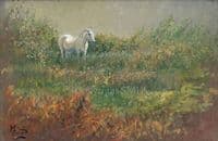'Grey Pony' Original Horse Painting by Malcolm Coward