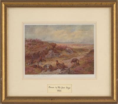 'Grouse by the Peat Bogs 1932' Signed Archibald Thorburn Print