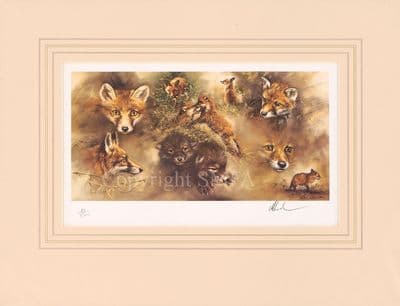 'Growing Up' Ex-Display Fox Cub Print by Mick Cawston