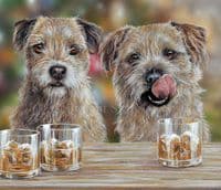 'Happy Hour' Open Edition Border Terrier Print by Paul Doyle