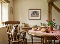 'Happy Hour' Open Edition Border Terrier Print by Paul Doyle