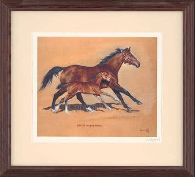 'Hasili with befoal by Daneshill' Signed Horse Racing Print by Susan Crawford