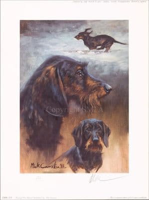 'Head of a Dachshund' Limited Edition Print by Mick Cawston
