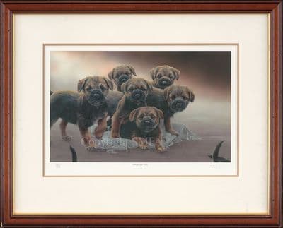 'Heads and Tails' Ex-Display Border Terrier Puppy Framed Print by Paul Doyle