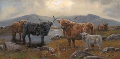'Here's Looking at Moo' Highland Cow Print by John Trickett