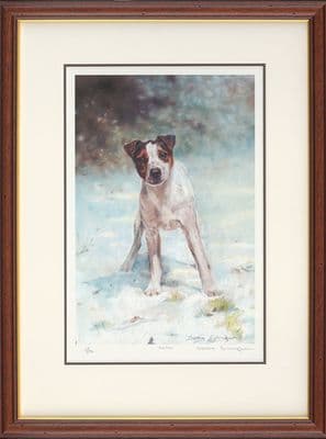 'Jack Frost' Ex-Display Jack Russel Print by Debbie Gillingham