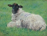 'Lambing Time' Original Sheep Painting by Malcolm Coward