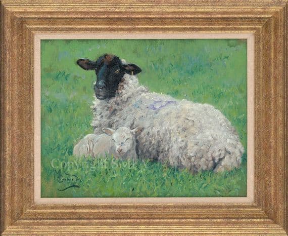 'Lambing Time' Original Sheep Painting by Malcolm Coward