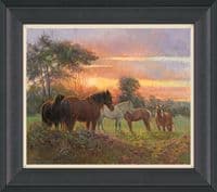 'Last Rays' Limited Edition Horse print by Rosemary Welch