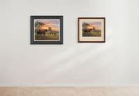 'Last Rays' Limited Edition Horse print by Rosemary Welch