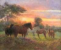 'Last Rays' Original Horse Painting by Rosemary Sarah Welch