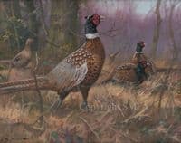'Late Autumn' Original Pheasant Painting by John Trickett