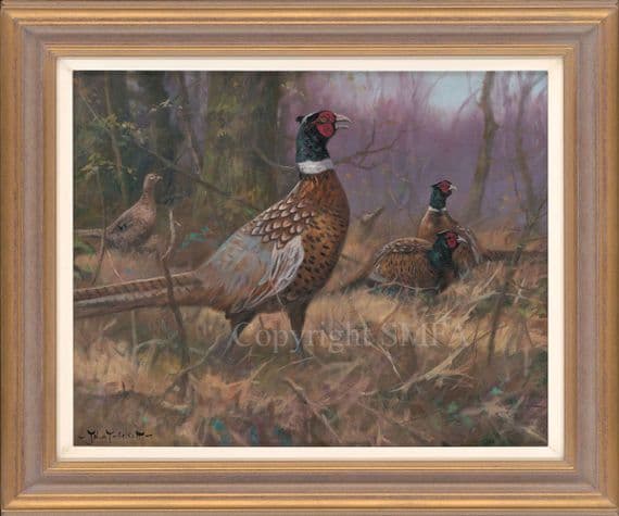 'Late Autumn' Original Pheasant Painting by John Trickett