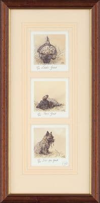 'Looks Good, Does You Good..' Ex-Display Cairn Terrier Print by Jo Campin