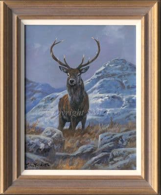 'Master of All...' Original Red Deer Stag Painting by John Trickett