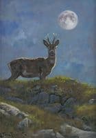 'Midnight Roe' Original Roebuck Painting by John Trickett