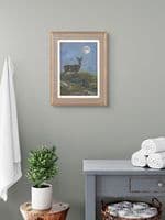 'Midnight Roe' Original Roebuck Painting by John Trickett