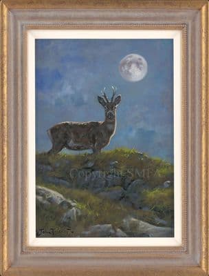 'Midnight Roe' Original Roebuck Painting by John Trickett