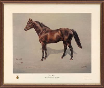 'Mill Reef' Ex-Display Horse racing Print by Susan Crawford