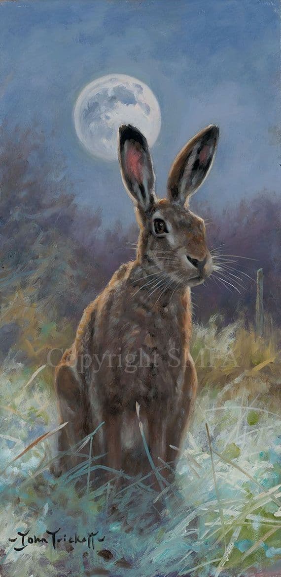 'Mooning Around' Hare Print by John Trickett