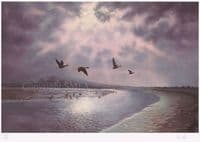 'Moonlight Over Caerlaverock' Ex-Display Framed Wildfowl Print by Ian Phipps