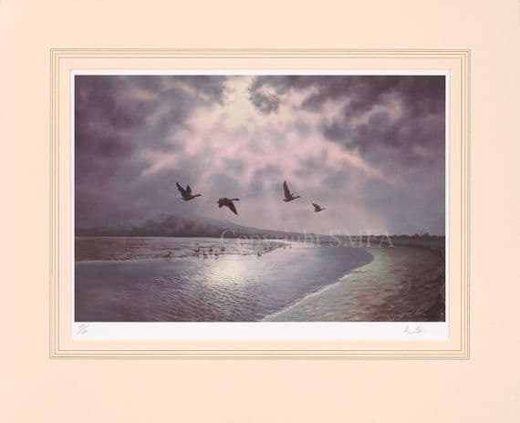 'Moonlight Over Caerlaverock' Ex-Display Framed Wildfowl Print by Ian Phipps