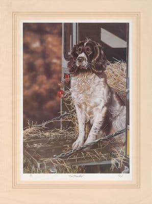 'On Standby' Ex-Display Mounted Springer Spaniel Print by Paul Doyle
