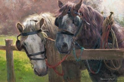 'On The Fence' Heavy Horse Print by Rosemary Sarah Welch