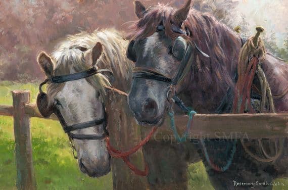 'On The Fence' Heavy Horse Print by Rosemary Sarah Welch