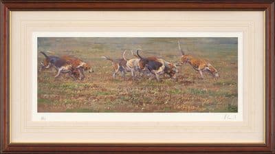 'On The Scent' Ex-Display Fox Hound print by Malcolm Coward.