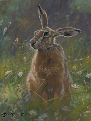 'One Up One Down' Original Hare Painting by John Trickett