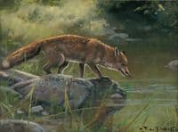 'Out For a Drink' Original Fox Painting by John Trickett