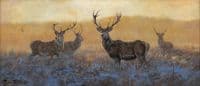 'Out of The Mist' Original Stag Painting by John Trickett