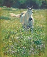 'Out to pasture' Original Horse Painting by Malcolm Coward