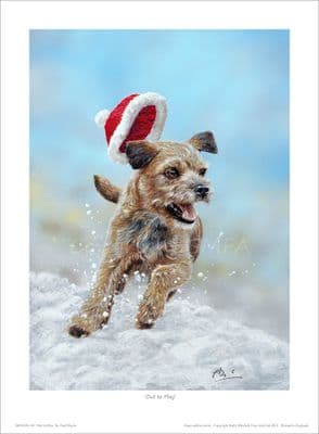 'Out to Play' Open Edition Border Terrier Print by Paul Doyle