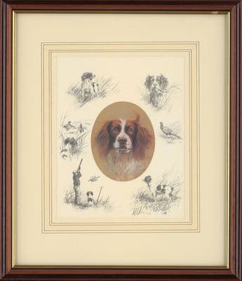 'Oval Springer' Ex-Display Framed Springer Spaniel Print by Mick Cawston