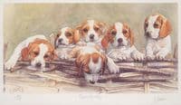 'Over The Top' Ex-Display Hound Puppy Print by Jo Campin