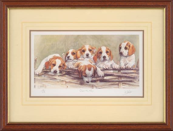 'Over The Top' Ex-Display Hound Puppy Print by Jo Campin