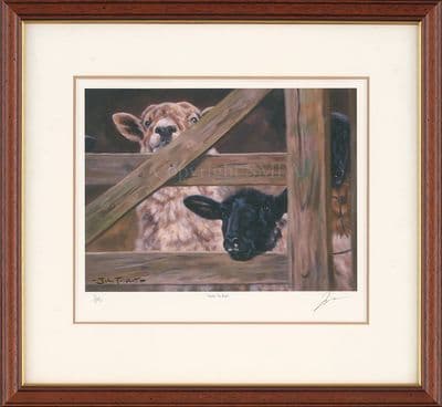 'Over to Ewe' Ex-Display Sheep Print by John Trickett