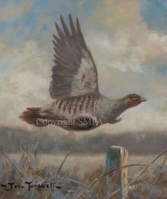 'Partridge Over' Original Painting by John Trickett