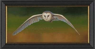 'Patrolling The Margins' Original Barn Owl Painting by Ben Waddams